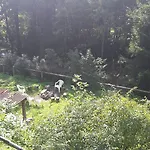 Apartmán V Zatáčce Albrechtice v Jizerskych horach