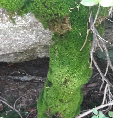 V Zatacce *